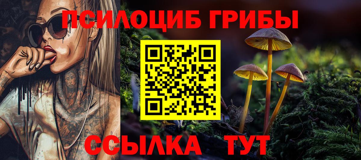 Галлюциногенные грибы мицелий  Вход с VPN  закладка  Железногорск  Галлюциногенные грибы ЛСД 